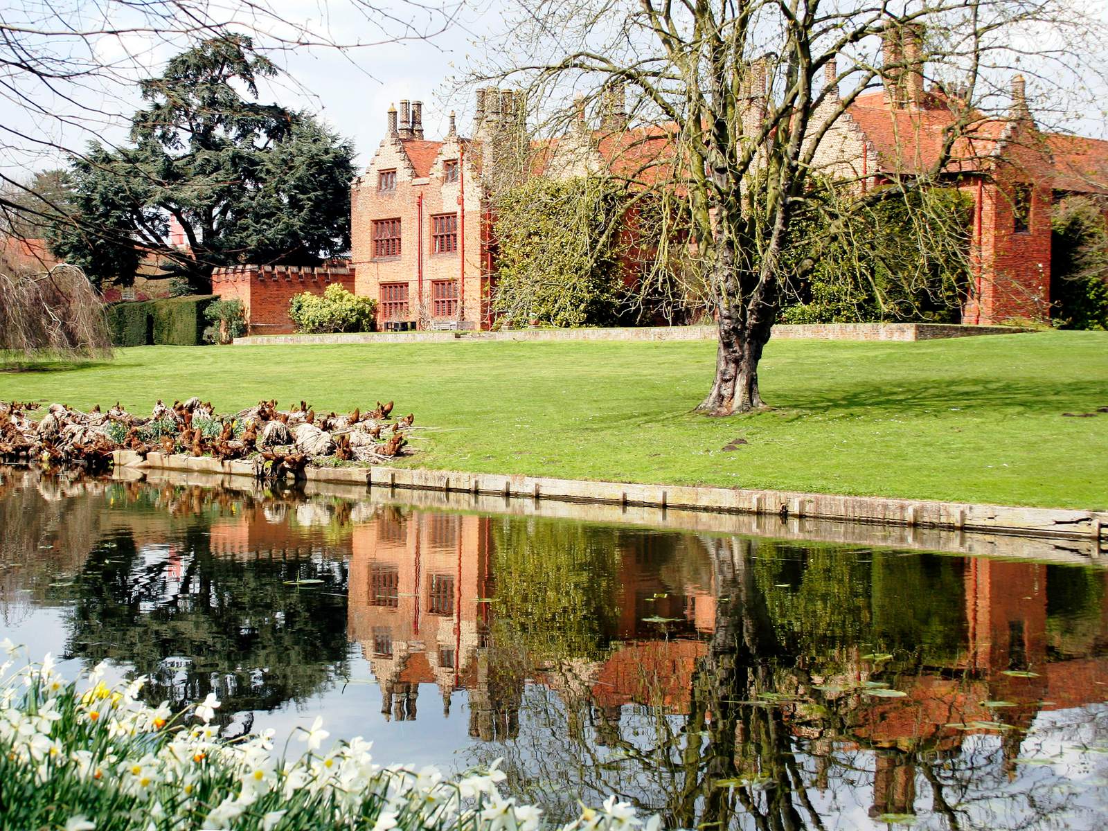 The Hall reflected in the stew pond in spring, daffodils in the foreground