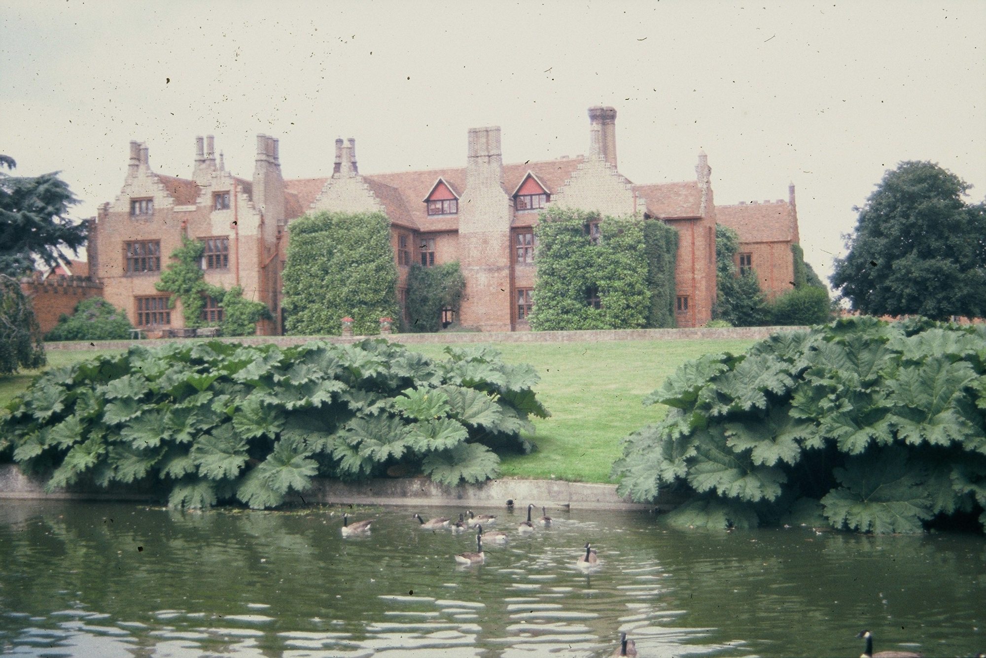 The south side of the Hall seen across the stew pond, with ducks on the water
