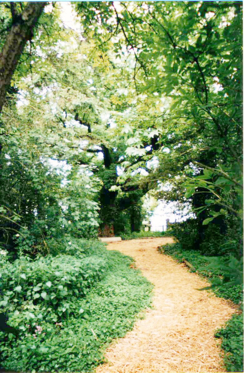 A shady path through the grounds